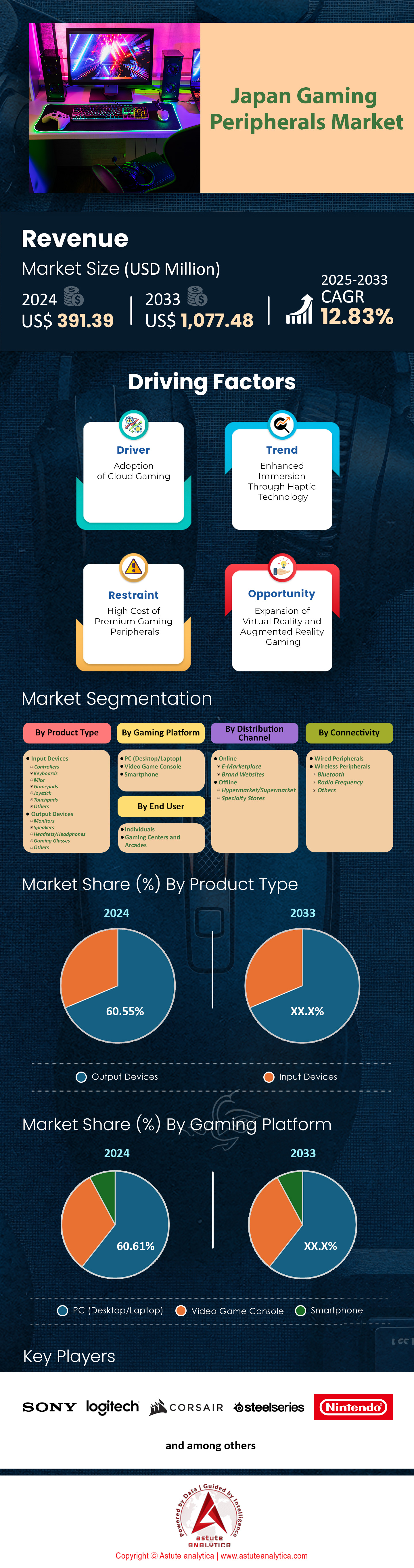 일본 게임 주변 장치 시장